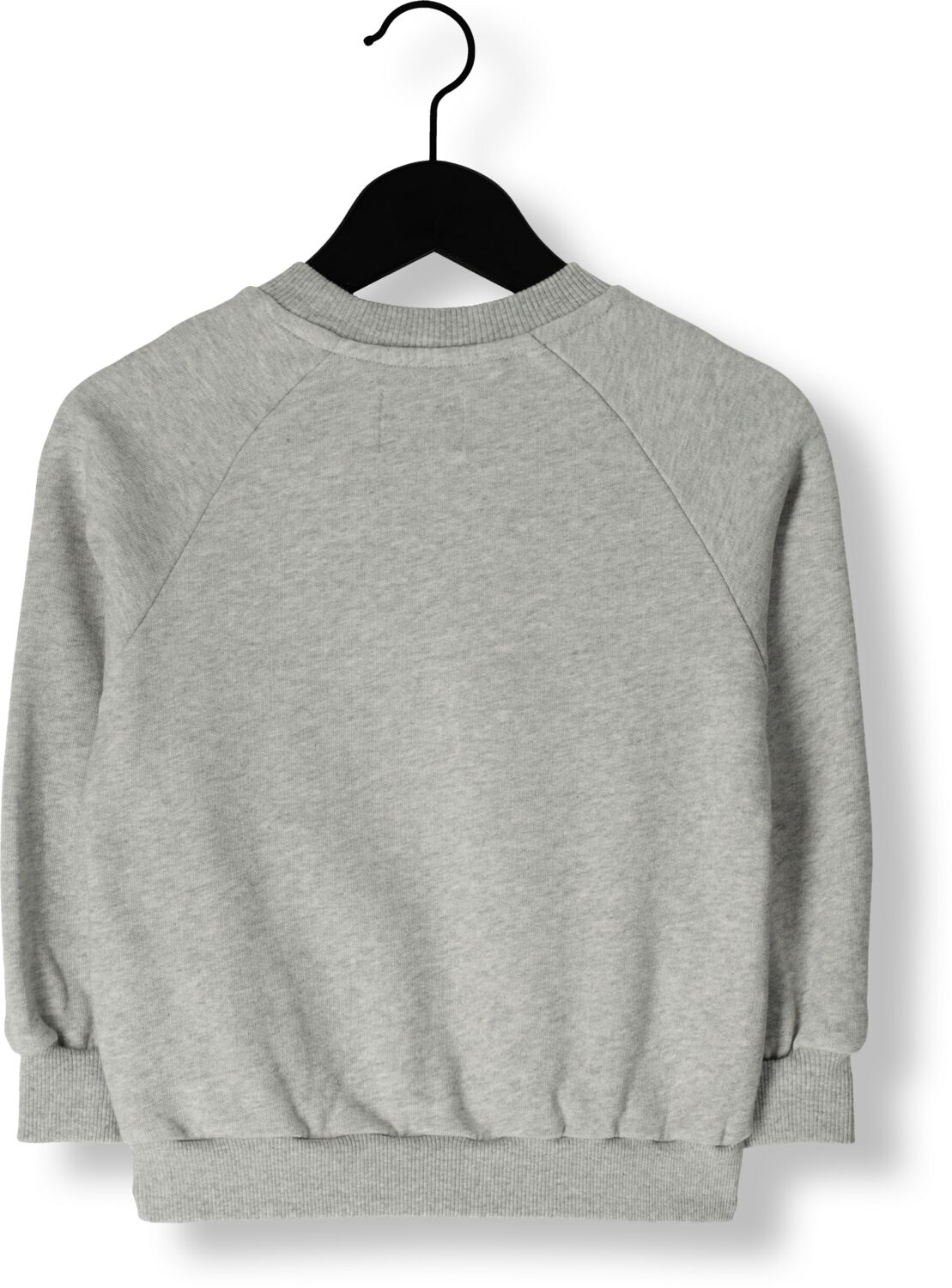 Sproet & Sprout Jongens Truien & Vesten Raglan Sweatshirt Fruit Grijs