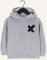 Grijze ALIX MINI Truien/vesten TEENS KNITTED X HOODIE Grijze ALIX MINI Truien/vesten TEENS KNITTED X HOODIE - medium
