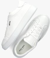 Witte ANTONY MORATO Lage sneakers MMFW01666 - medium