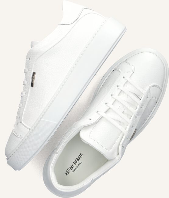 Witte ANTONY MORATO Lage sneakers MMFW01666 Witte ANTONY MORATO Lage sneakers MMFW01666 - large