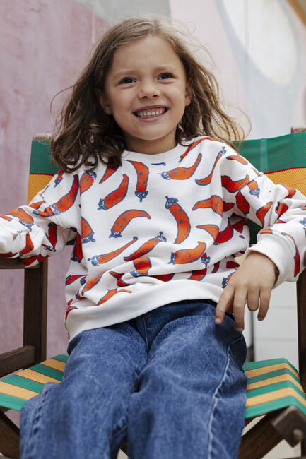 Rode AMMEHOELA Sweater ROCKY - large