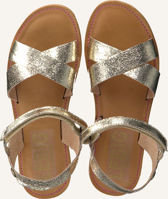 Gouden LE BIG Platte sandalen NOX SANDAL Gouden LE BIG Platte sandalen NOX SANDAL - large