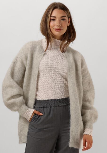 Grijze DES PETITS HAUTS Vest ALTEA - large