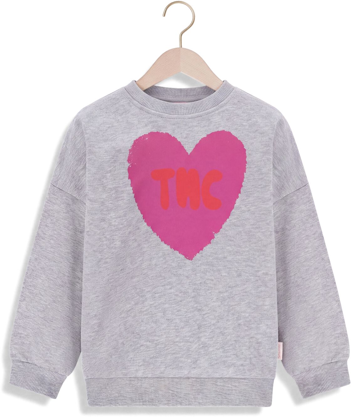 THE NEW CHAPTER Meisjes Truien & Vesten Billie Sweater Lichtgrijs