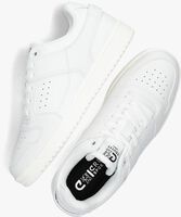 Witte CRUYFF Lage sneakers BASKET LOW - medium