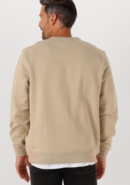 Beige TOMMY JEANS Trui TJM REG BADGE CREW EXT - large