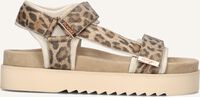 Bruine MARUTI Sandalen BEAU Bruine MARUTI Sandalen BEAU - medium