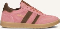 HIP H1511 HIP H1511 - medium