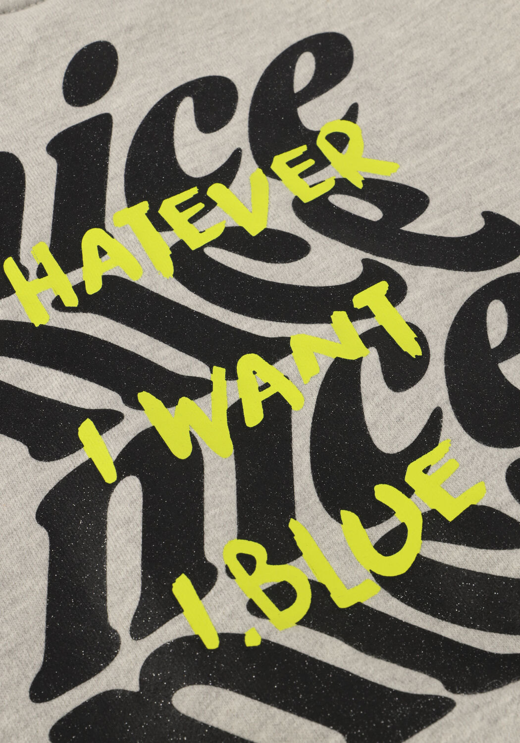 Lichtgrijze INDIAN BLUE JEANS Trui SWEATER GLITTERPRINT - large