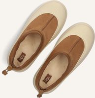 Cognac UGG Instappers TASMAN WEATHER HYBRID Cognac UGG Instappers TASMAN WEATHER HYBRID - medium