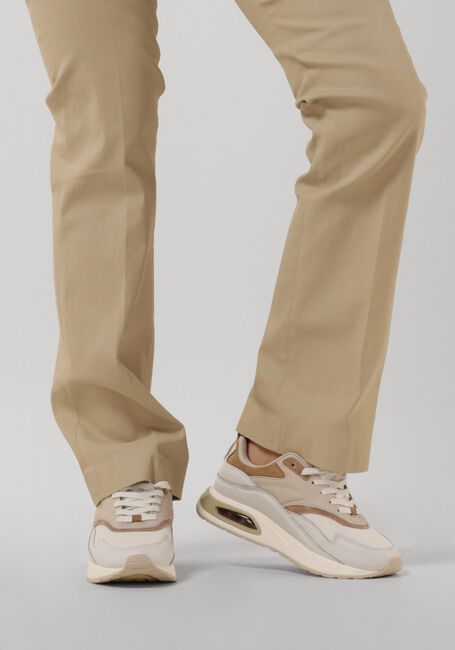Beige THE HOFF BRAND Lage sneakers EVOLUTION - large