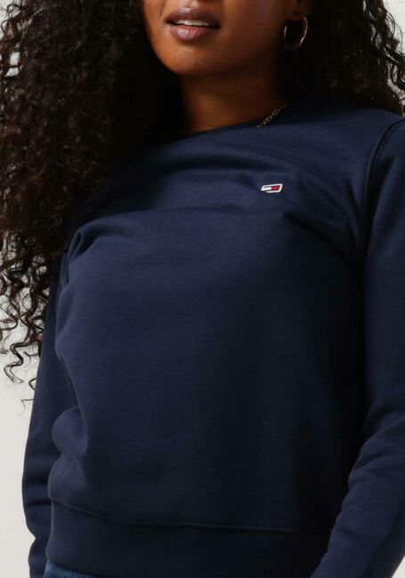 Blauwe TOMMY JEANS Sweater TJW REGULAR FLEECE C NECK - large