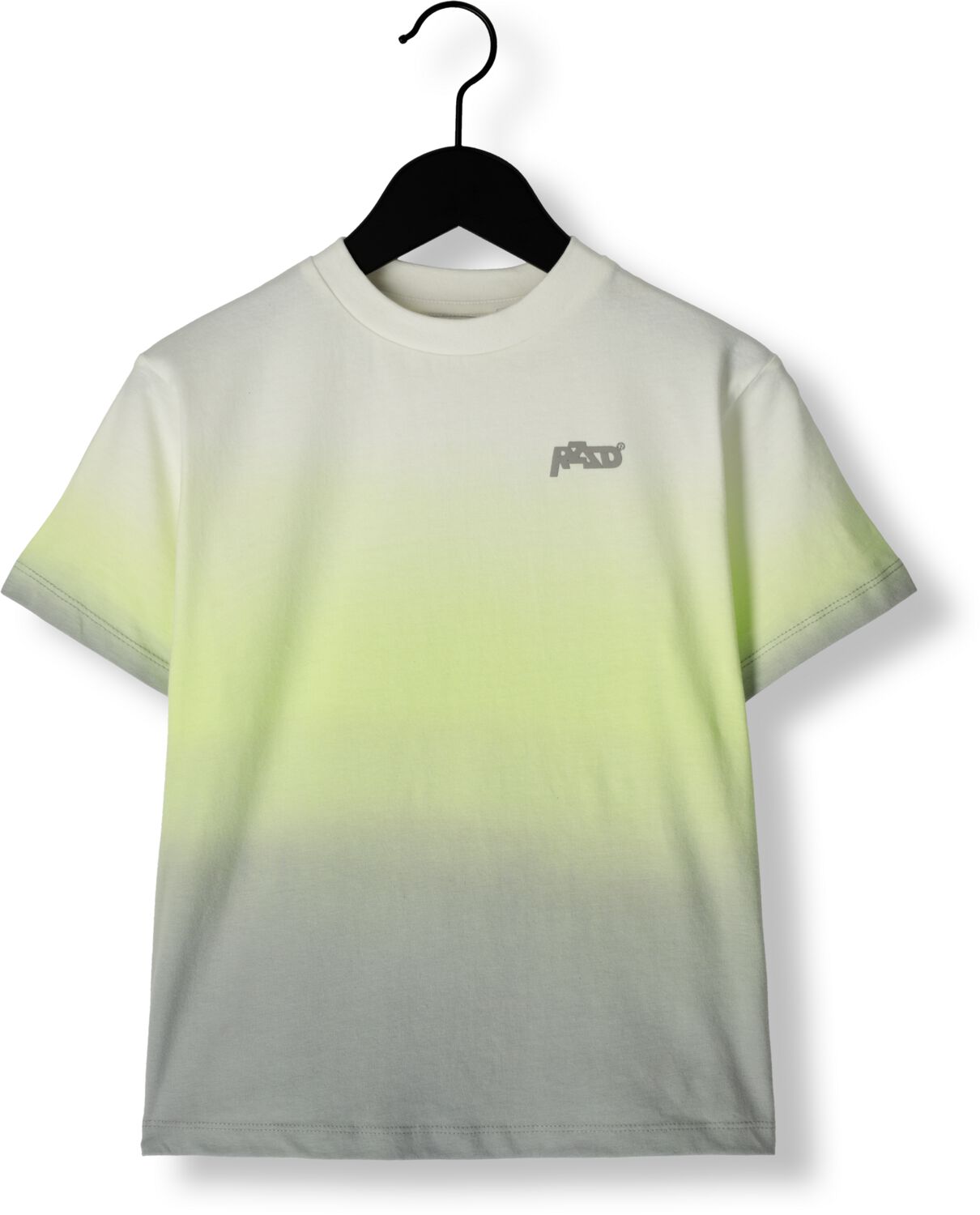 RAIZZED Jongens Polo's & T-shirts Horizon Lime
