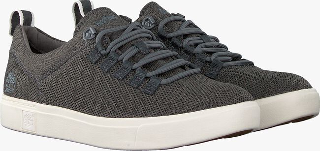 Blauwe TIMBERLAND Lage sneakers AMHERST ALPINE KNIT - large