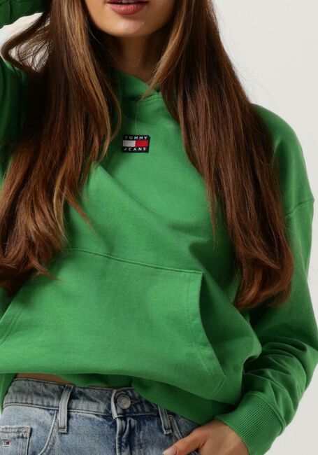 Groene TOMMY JEANS Trui TJW XS BADGE HOODIE - large