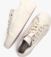 Witte BAMBURISTA Lage sneakers LADYBUG CACATOO LOW - medium