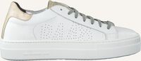 Witte P448 Lage sneakers THEA - medium