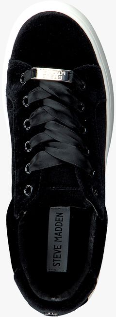 Zwarte STEVE MADDEN Sneakers BERTIE-V  - large