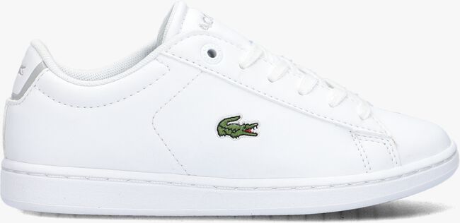 gezond verstand pin Monarch Witte LACOSTE Lage sneakers CARNABY PRO | Omoda