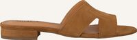 Camel NOTRE-V Slippers 2213 - medium