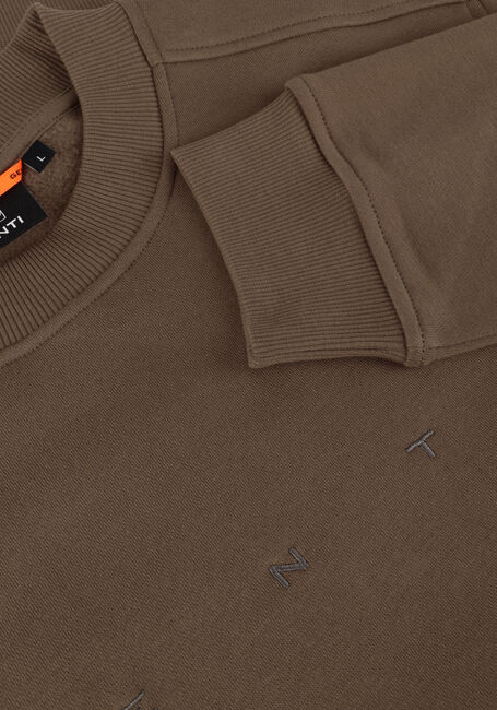 GENTI J1113-3229 GENTI J1113-3229 - large