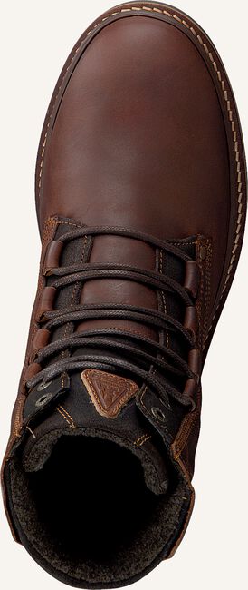 Cognac GAASTRA Veterboots TRAVIS HIGH Cognac GAASTRA Veterboots TRAVIS HIGH - large
