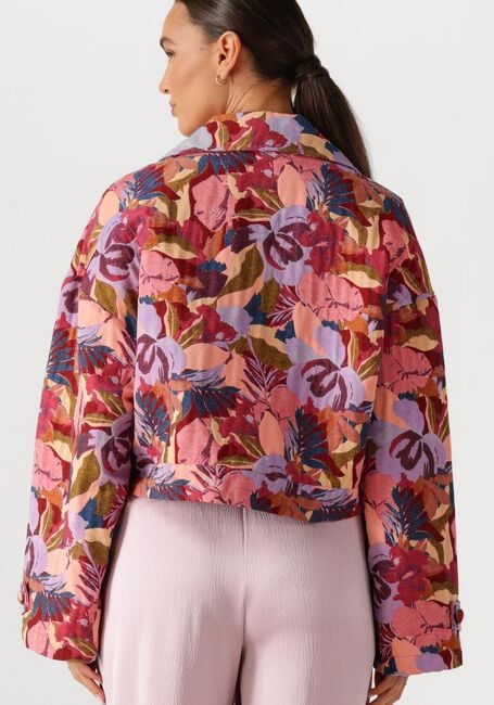 Multi AMAYA AMSTERDAM Jack 261-42 - large