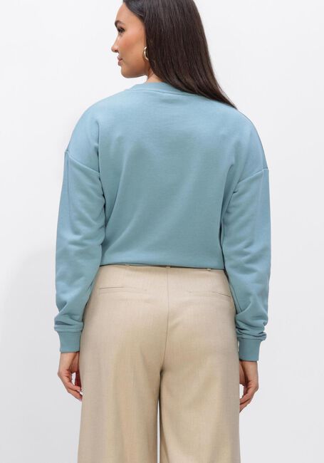 Lichtblauwe JANSEN AMSTERDAM Sweater MAIKA TRUI SW 165 SWEAT LONG SLEEVE SATIN FLOWERS EMBROIDERY - large