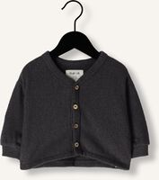 Grijze PLAY UP Vest JERSEY CARDIGAN Grijze PLAY UP Vest JERSEY CARDIGAN - medium