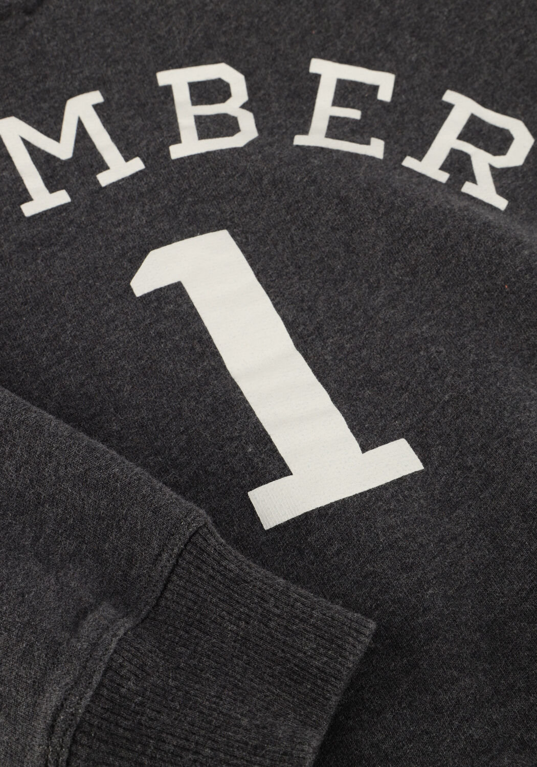 Donkergrijze JENEST Trui BIRD N1 SWEATER - large