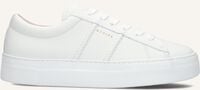 Witte NUBIKK Lage sneakers JOLIE MORRIS Witte NUBIKK Lage sneakers JOLIE MORRIS - medium