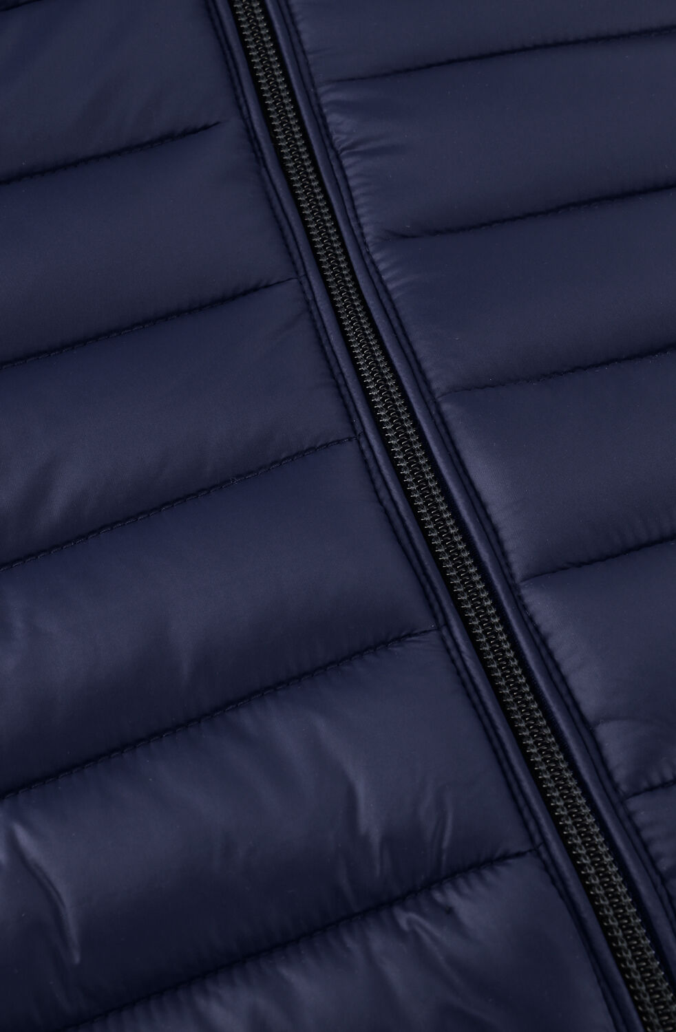 Donkerblauwe SAVE THE DUCK Gewatteerde jas ALEXANDER GIGA01 - large