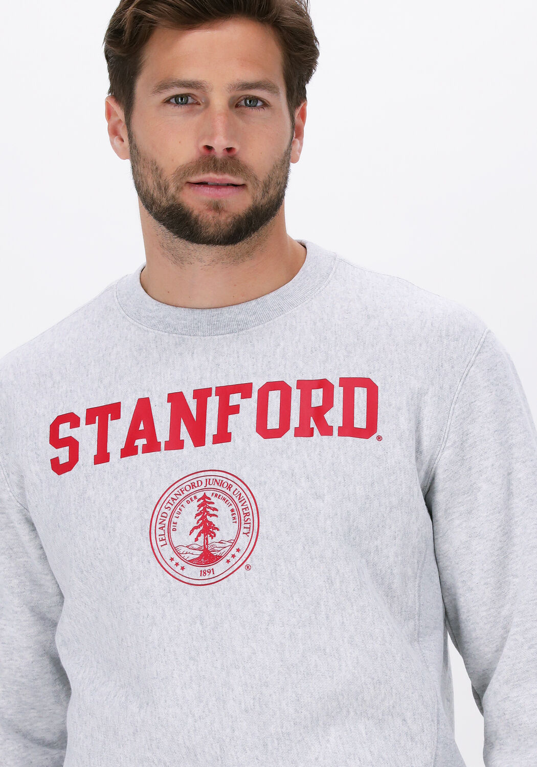 Champion sweater grijs junior clearance