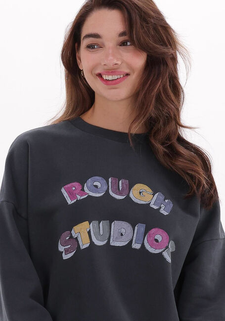 Grijze ROUGH STUDIOS Trui 7220100432072 - large