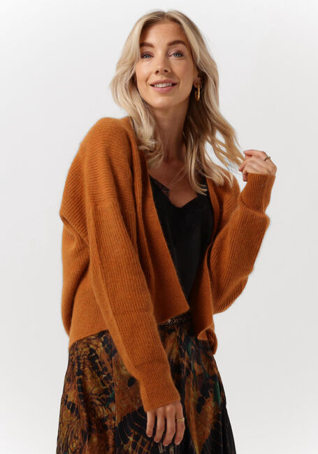 Roest MES DEMOISELLES Vest CARI - large