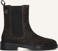 Bruine MARUTI Chelsea boots FALLON Bruine MARUTI Chelsea boots FALLON - medium