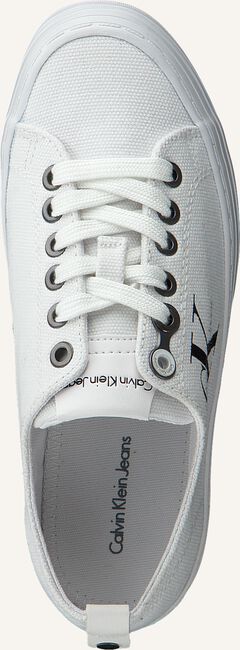 Witte CALVIN KLEIN Lage sneakers ZOLAH Witte CALVIN KLEIN Lage sneakers ZOLAH - large