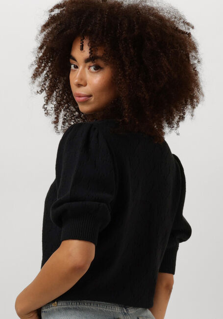 Zwarte FABIENNE CHAPOT Trui DIANNA SS PULLOVER - large