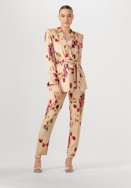 Multi AMAYA AMSTERDAM Pantalon ANOUK - large