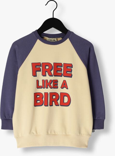 Beige CARLIJNQ Sweater FREE LIKE A BIRD - RAGLAN SWEATER WITH PRINT - large