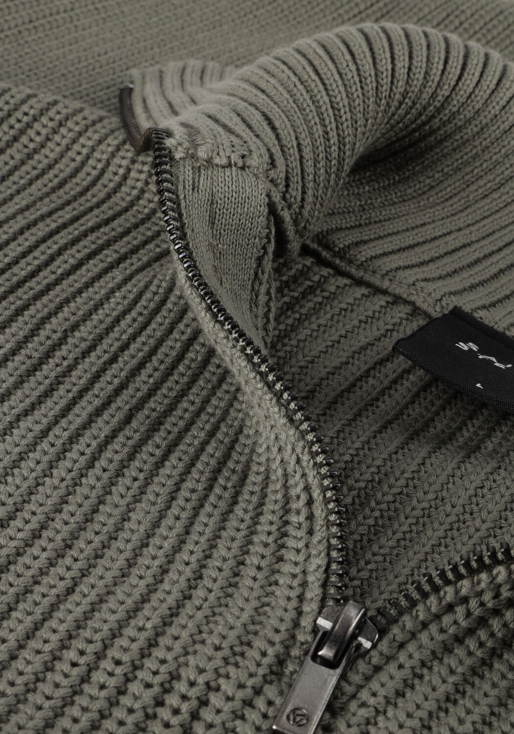 Olijf SAINT STEVE Coltrui LIAM - large