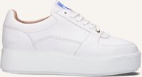 Witte NUBIKK Lage sneakers ELISE JOAN - medium