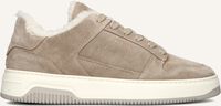 Beige NUBIKK Lage sneakers BASKET COURT FUR Beige NUBIKK Lage sneakers BASKET COURT FUR - medium