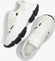 Witte HABOOB Sneakers LPTOKIO-23HAB - medium