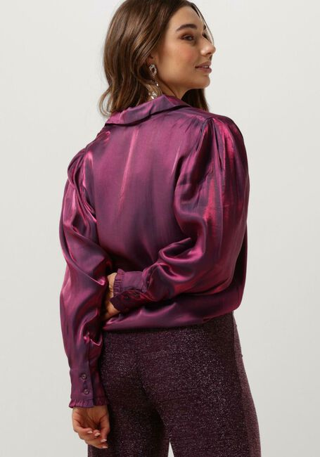 Bordeaux AAIKO Blouses DIANNE SHINE VIS 505 BLOUSES - large