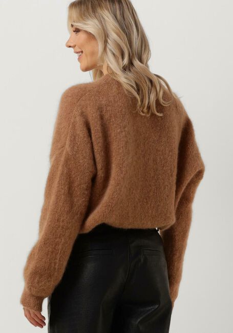 Camel BELLAMY Trui CHANTAL - large