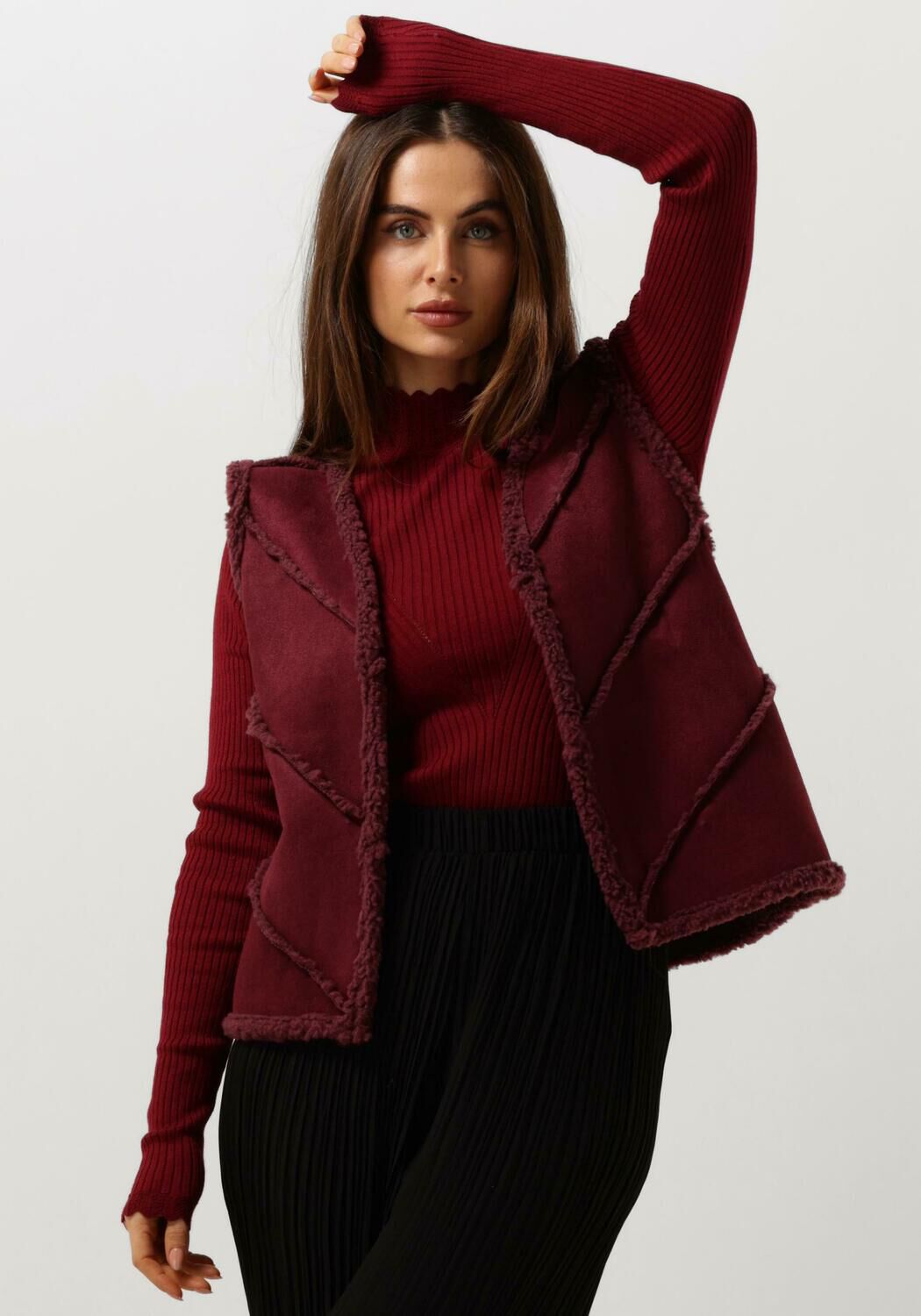 Aaiko Rood Trendy Gilet voor Vrouwen Red Dames