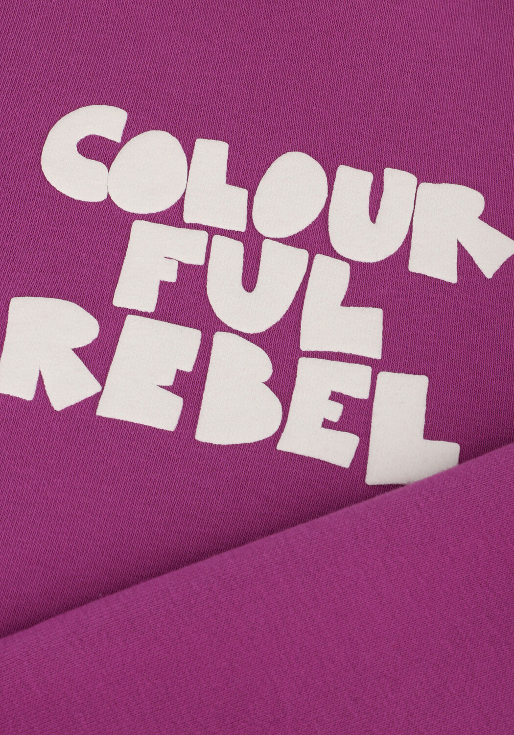Roze COLOURFUL REBEL Sweater BOLD PUFF LOGO RELAXED SWEAT - large