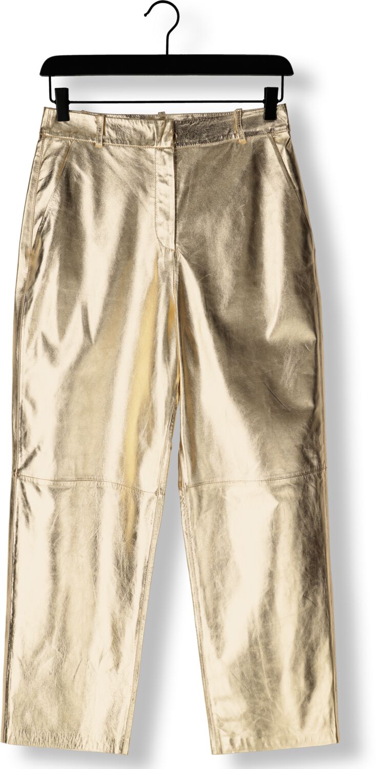 IBANA Dames Broeken Perfecta Metallic Goud