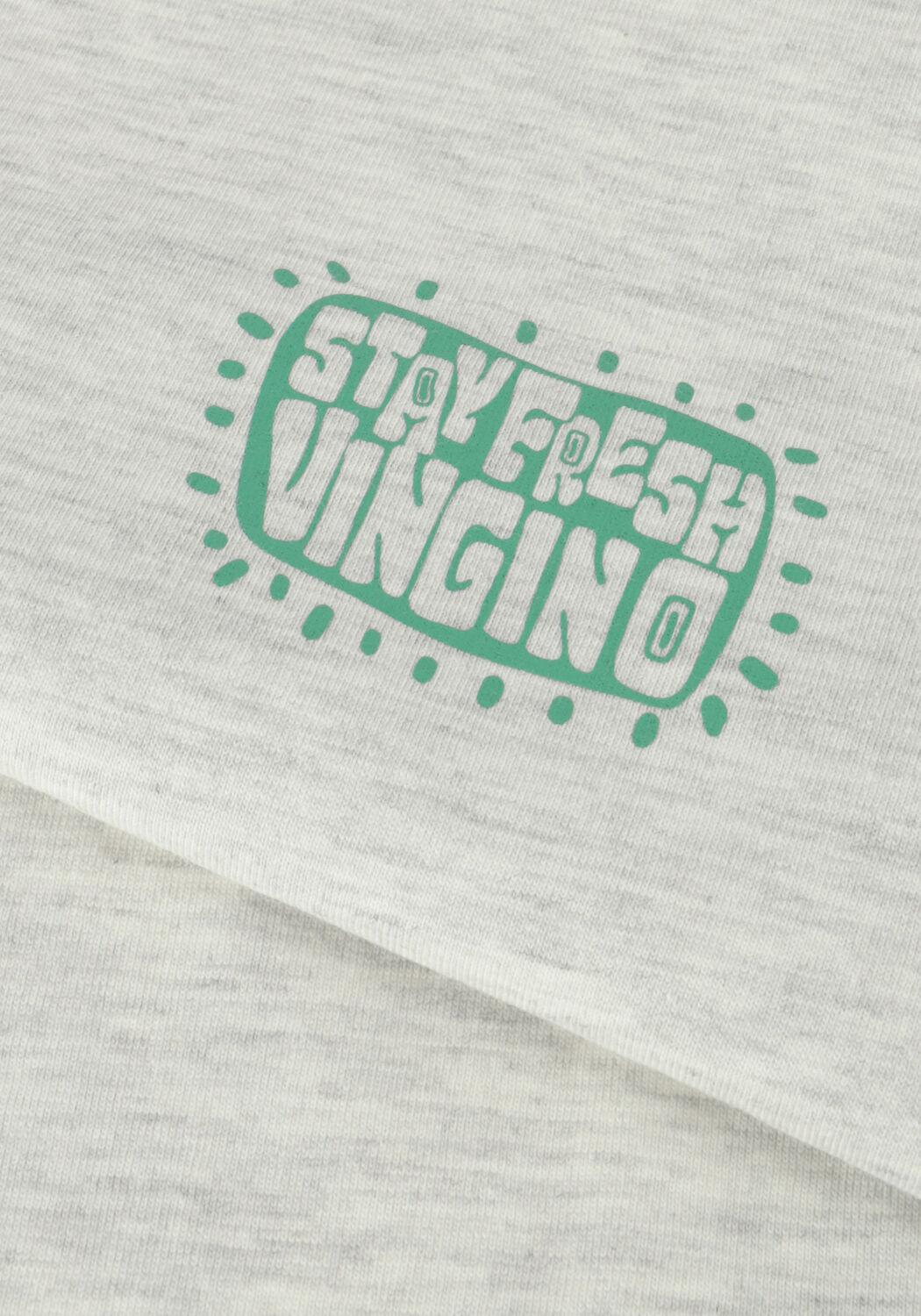 VINGINO Jongens Polo's & T-shirts Honas Gebroken Wit